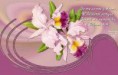 /album/dios-te-ama/orquideas-jpg/