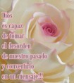 /album/dios-te-ama/rosa-jpg/